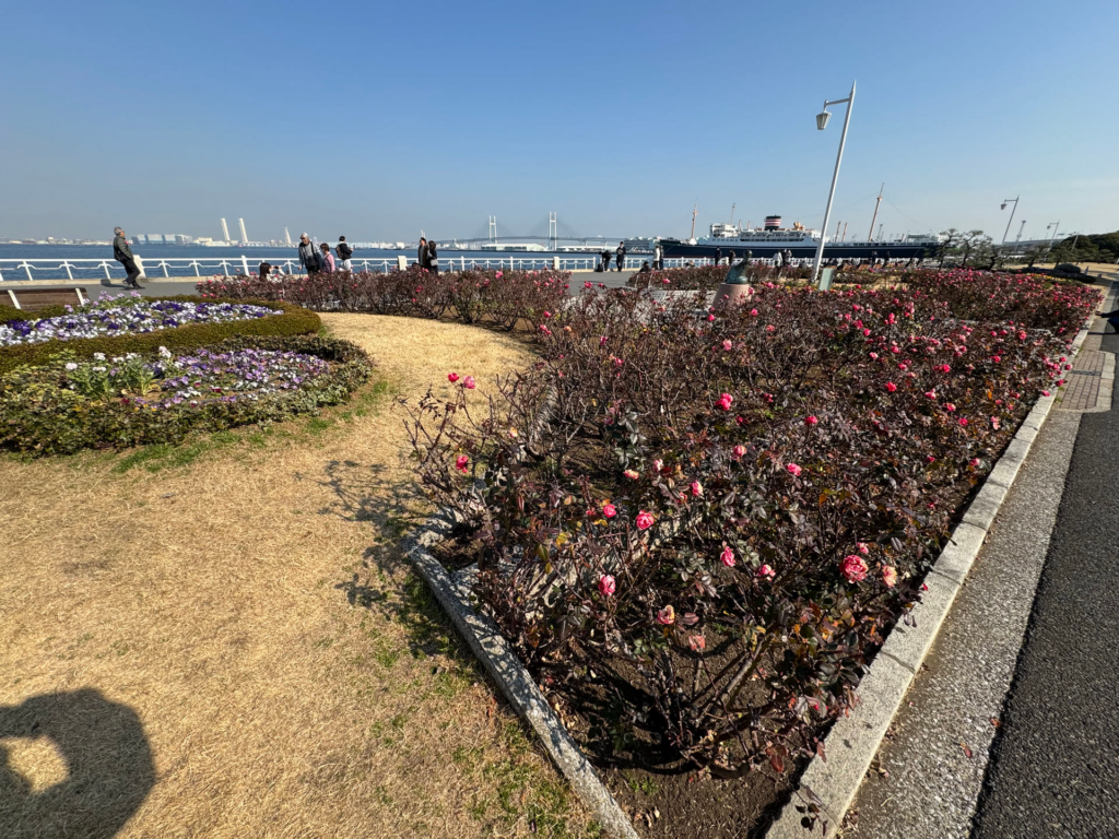 日本游记(二) 日本游记(二)