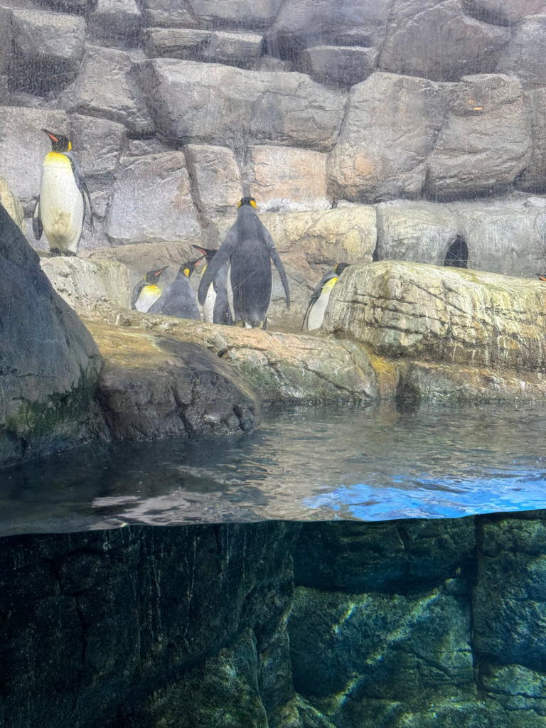 日本游记(二) 日本游记(二)