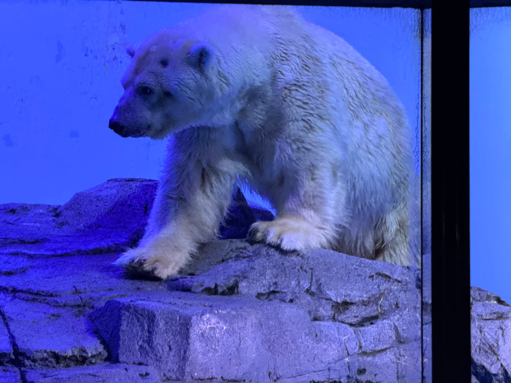 日本游记(二) 日本游记(二)