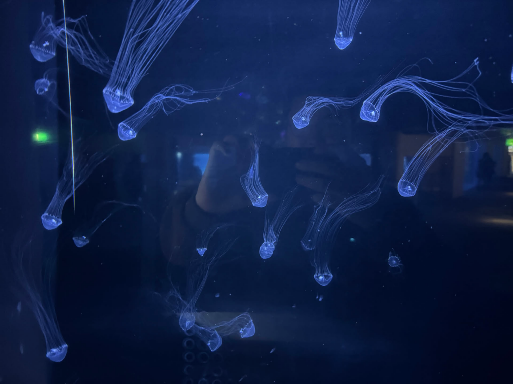 日本游记(二) 日本游记(二)