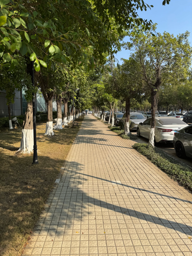 日本游记(一) 日本游记(一)