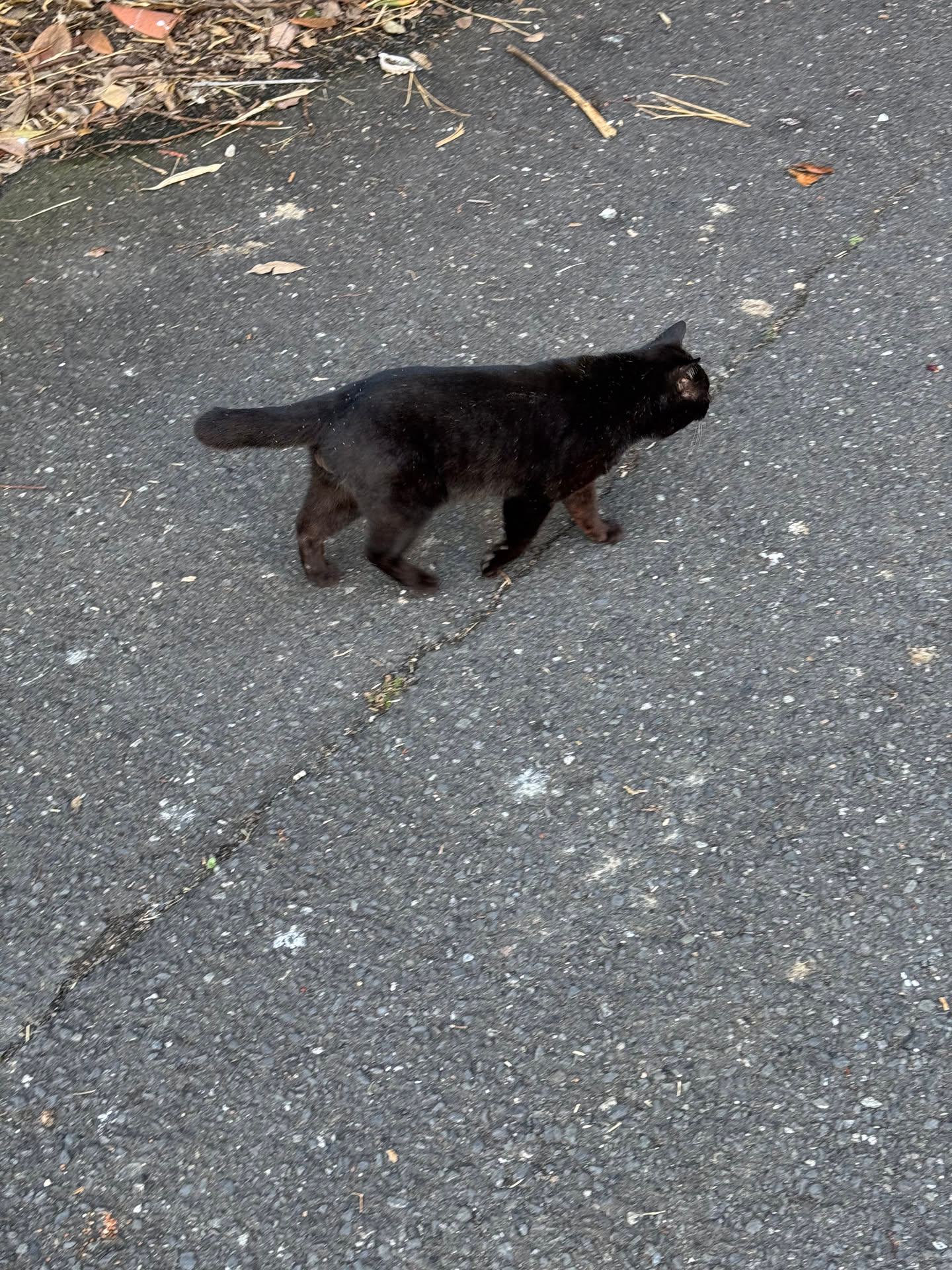 日本游记(二) 日本游记(二)