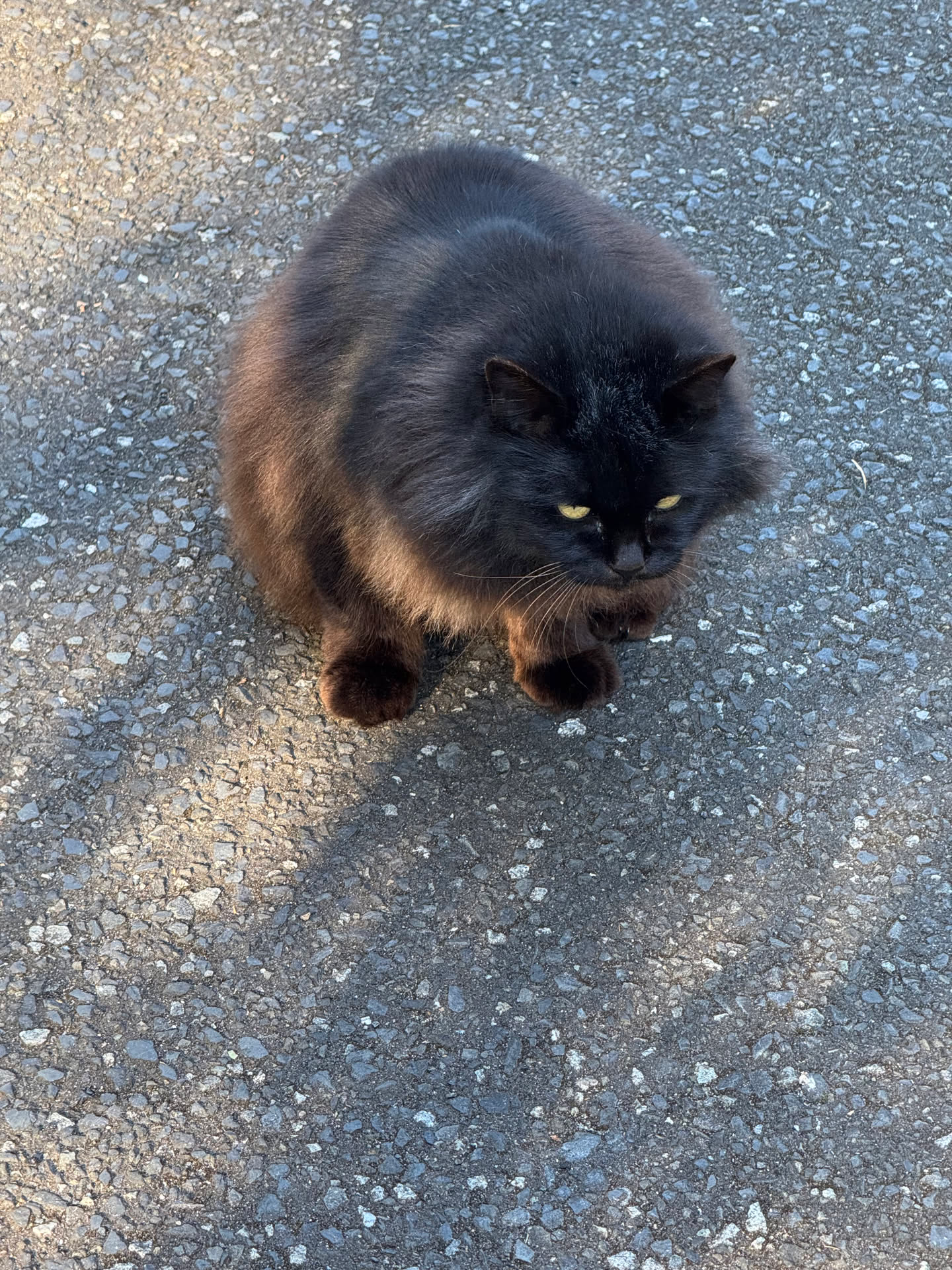 日本游记(二) 日本游记(二)