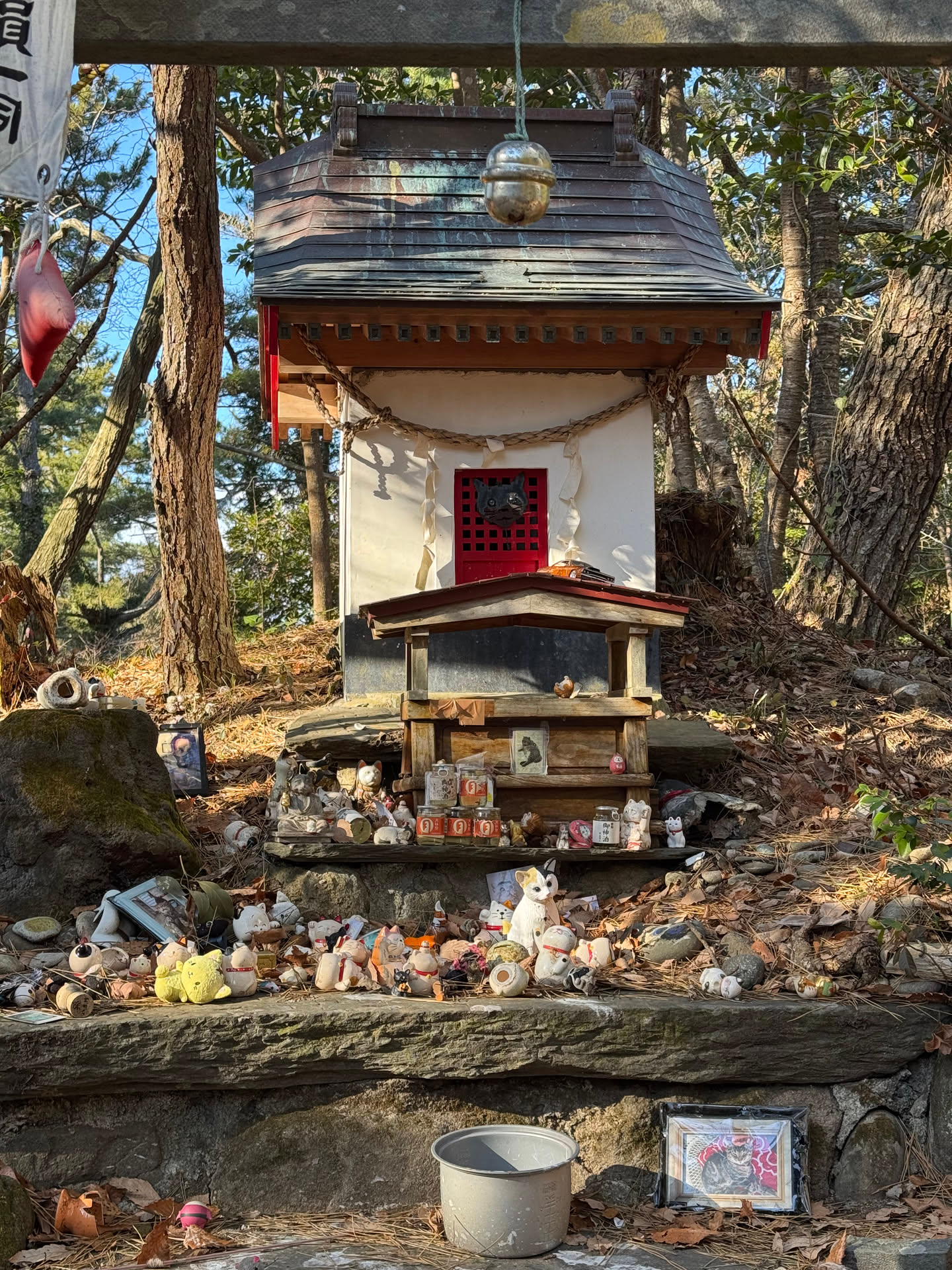 日本游记(二) 日本游记(二)