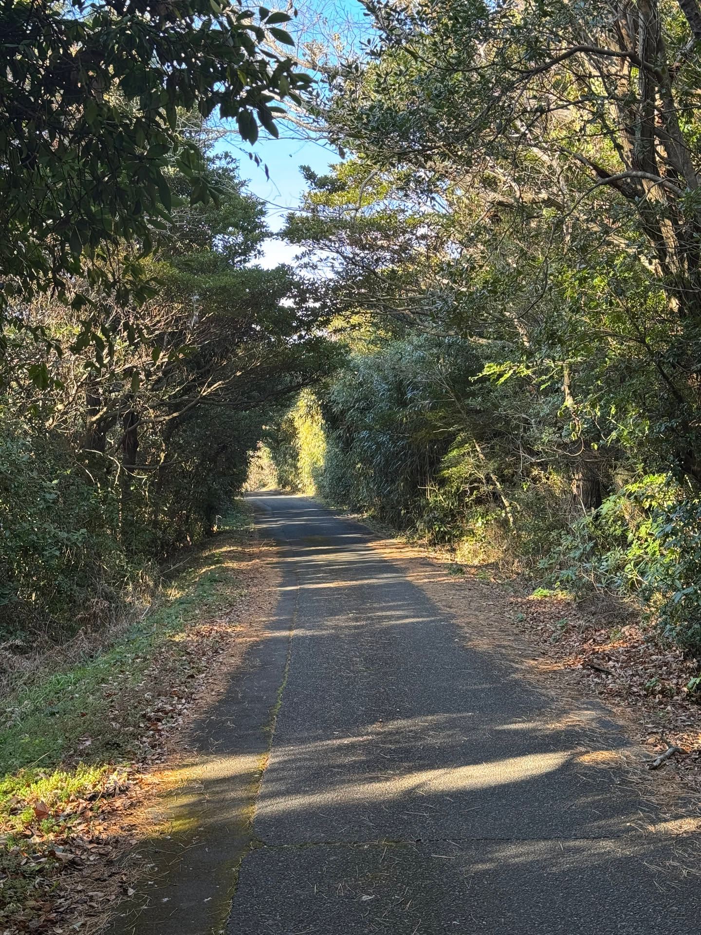 日本游记(二) 日本游记(二)
